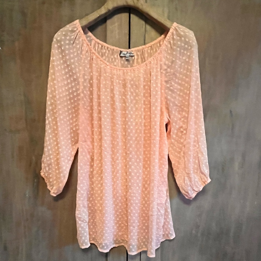 Jennifer Lopez Sheer Tunic Pale pink Size L